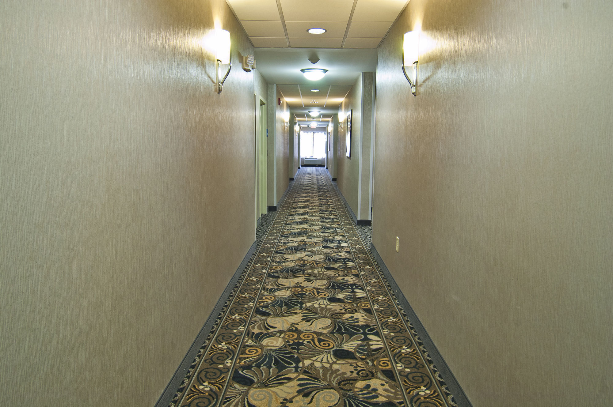 Holiday Inn Express & Suites Jackson/Pearl International Airport מראה חיצוני תמונה